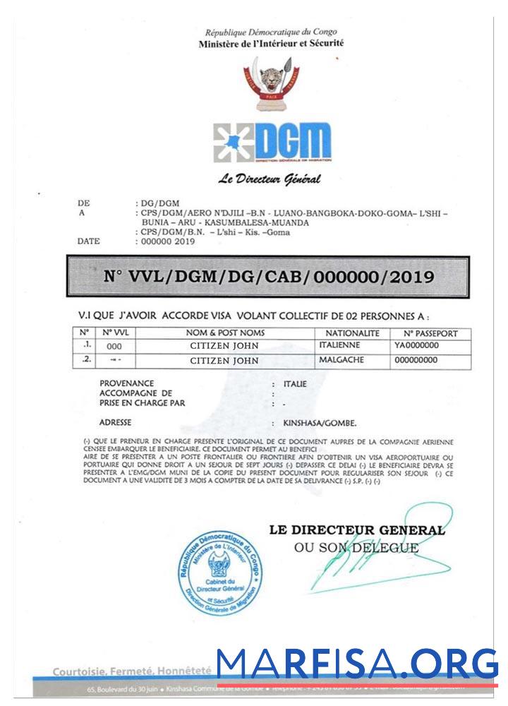 Realistic Congo e visa real example